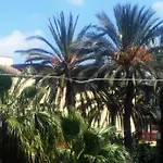 B&B Le Ninfe