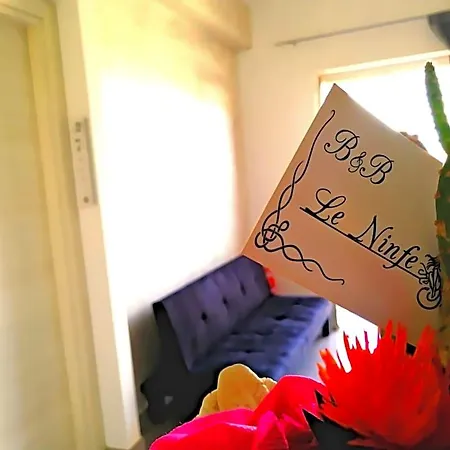 فندق مبيت وإفطار B&B Le Ninfe سانتا دومينيكا